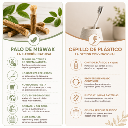 Cepillo Dental Blanqueador de Miswak